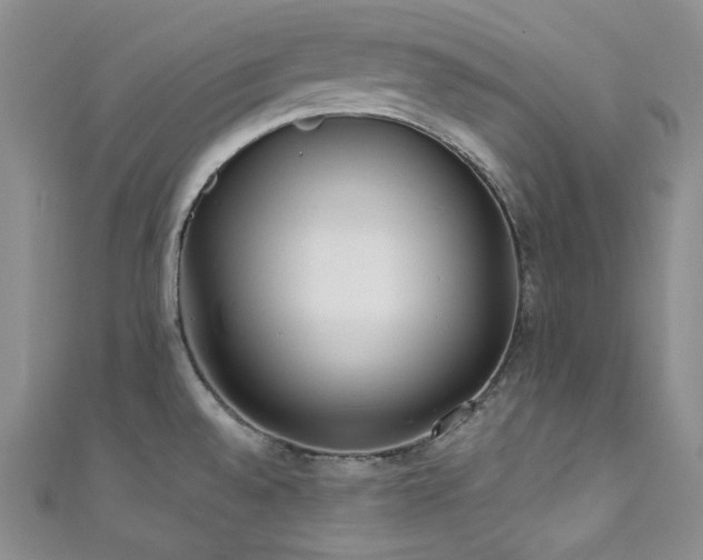 X0000111891528200907231545