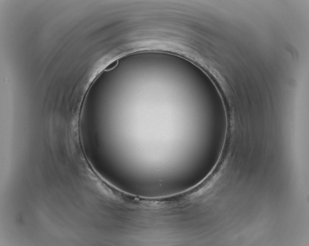 X0000111891529200907231545