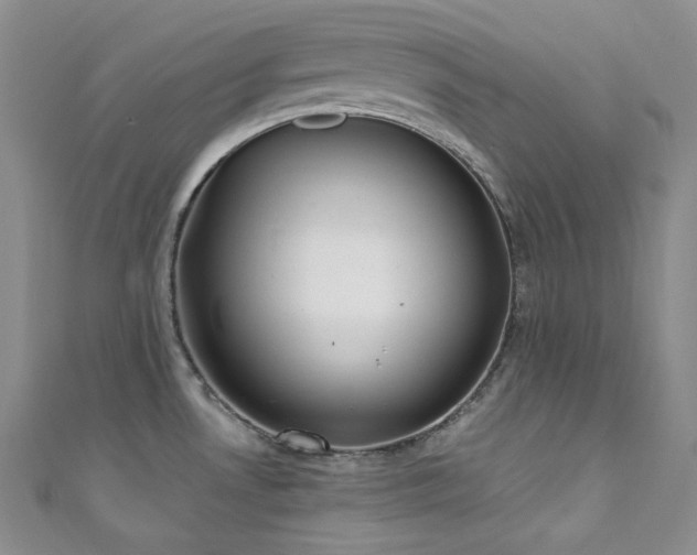 X0000111891530200907231545