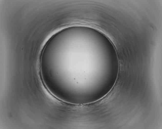 X0000111891531200907231545