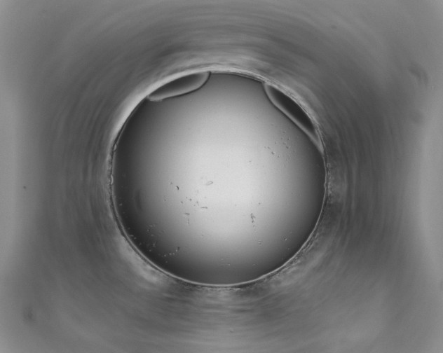 X0000111891532200907231545