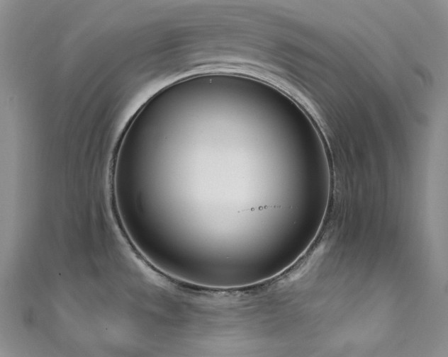 X0000111891533200907231545