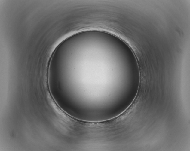 X0000111891534200907231545