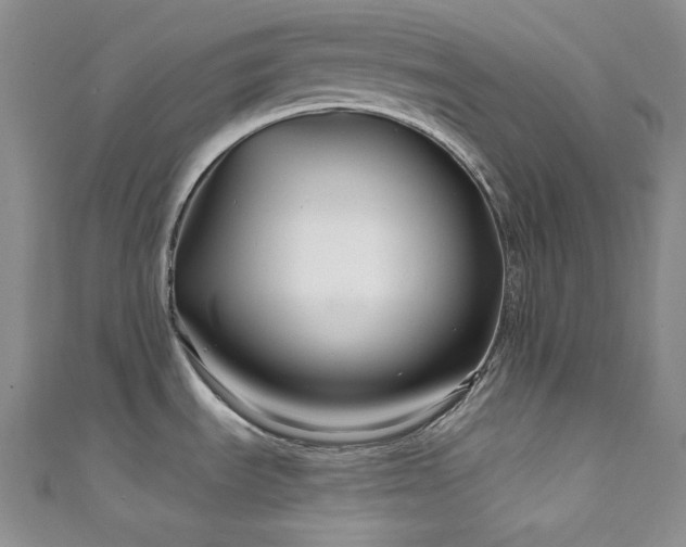 X0000111891535200907231545