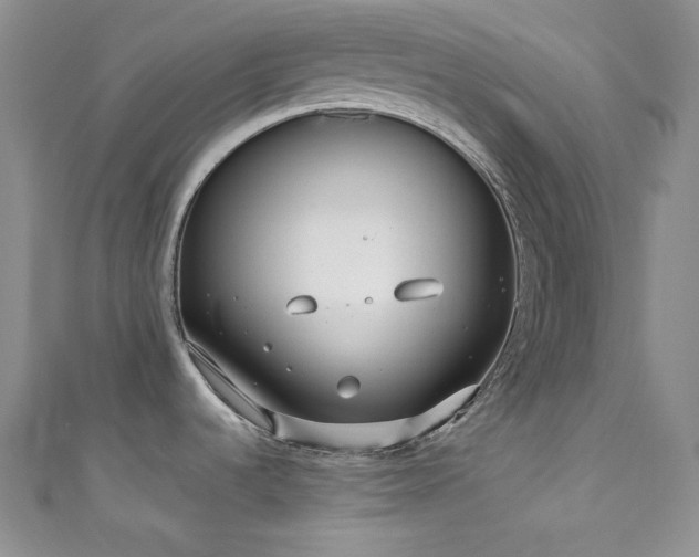 X0000111891536200907231545