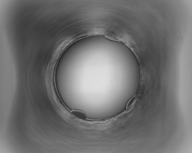 X0000111890001200907301207