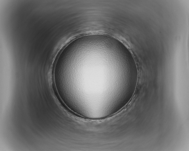 X0000111890002200907301207