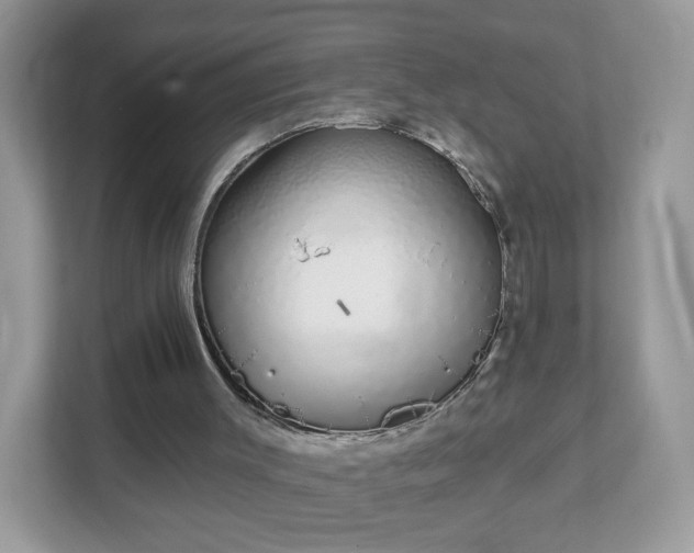 X0000111890003200907301207