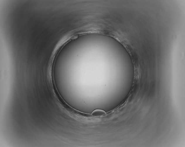 X0000111890004200907301207