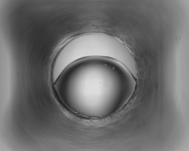 X0000111890005200907301207