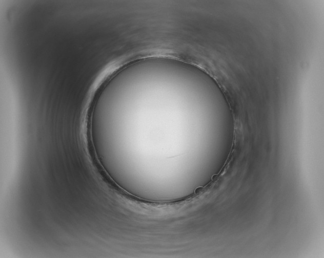 X0000111890006200907301207