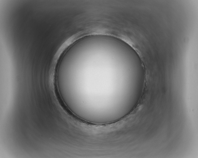 X0000111890007200907301207