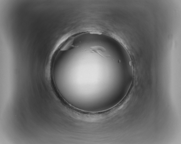 X0000111890008200907301207