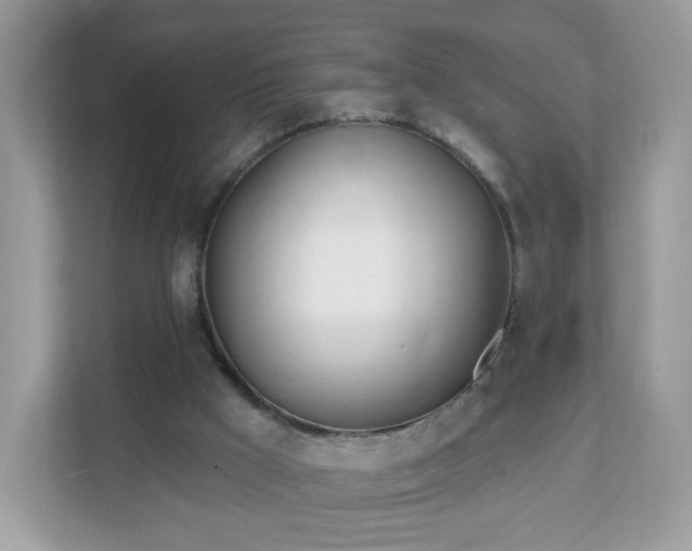 X0000111890009200907301207