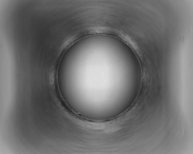 X0000111890010200907301207