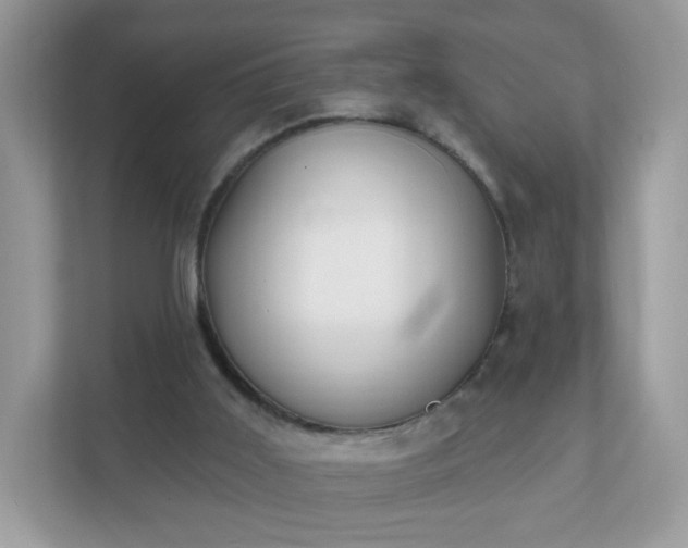 X0000111890011200907301207