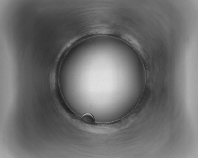 X0000111890012200907301207