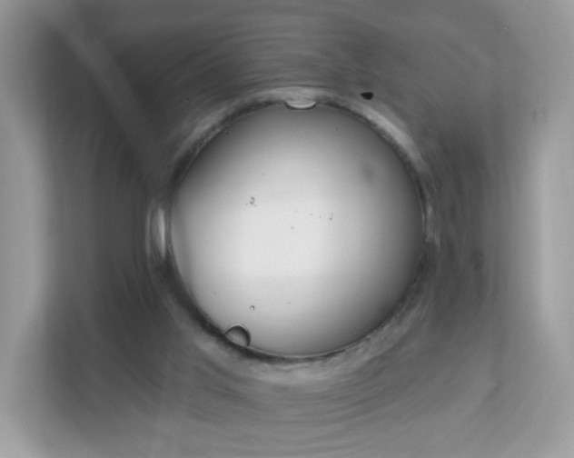 X0000111890013200907301207