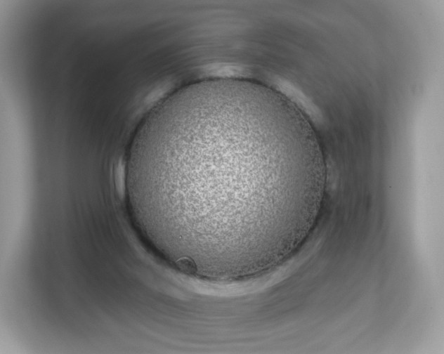 X0000111890014200907301207