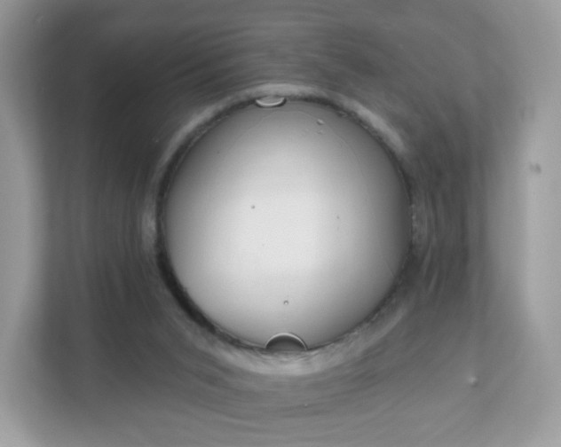 X0000111890015200907301207