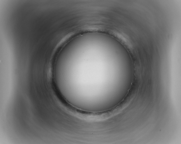 X0000111890016200907301207