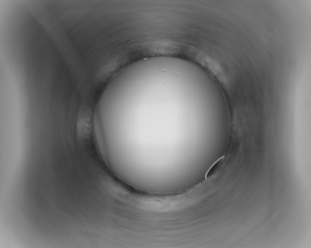 X0000111890017200907301207