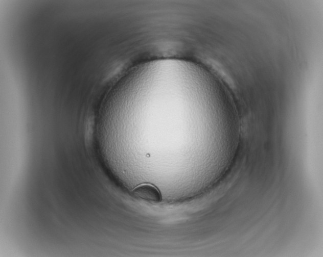 X0000111890018200907301207