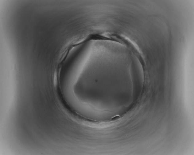 X0000111890019200907301207