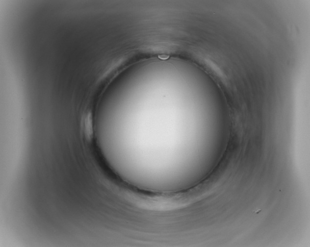 X0000111890020200907301207