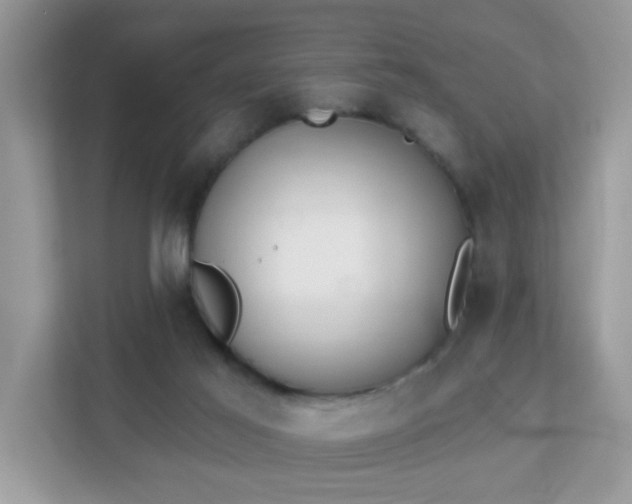 X0000111890021200907301207