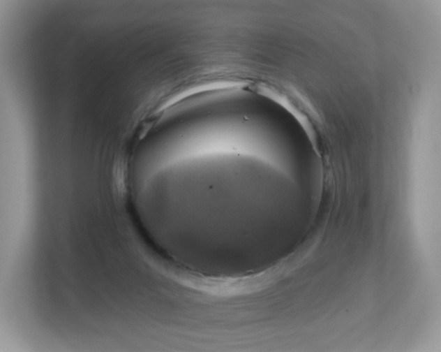 X0000111890023200907301207