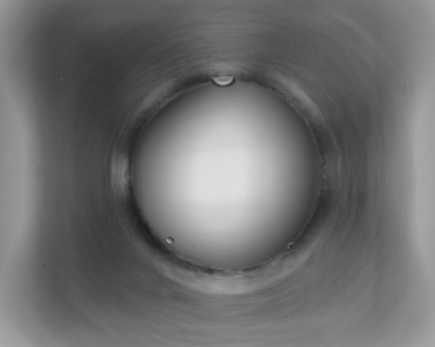 X0000111890024200907301207