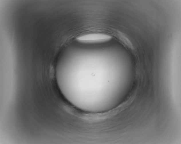 X0000111890025200907301207