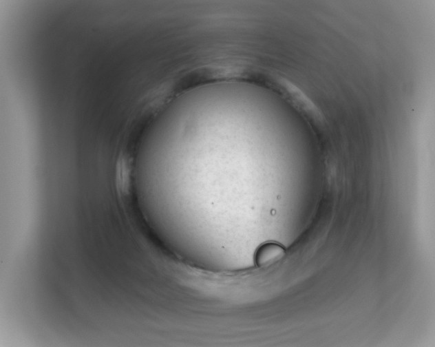 X0000111890026200907301207