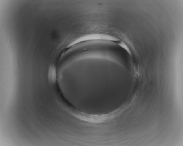 X0000111890027200907301207