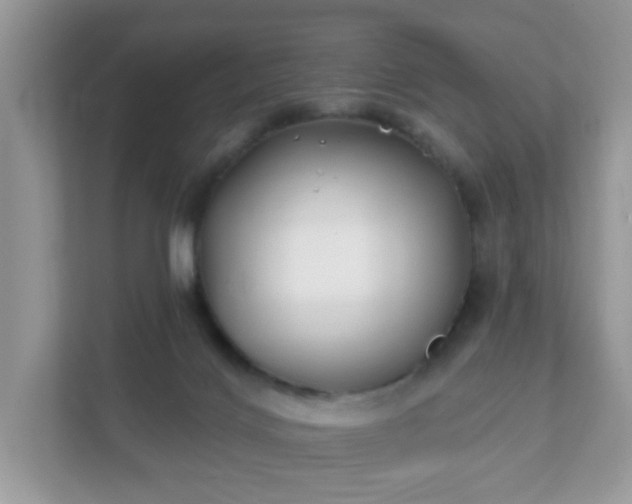 X0000111890028200907301207