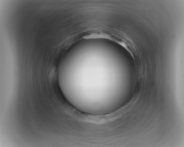 X0000111890029200907301207