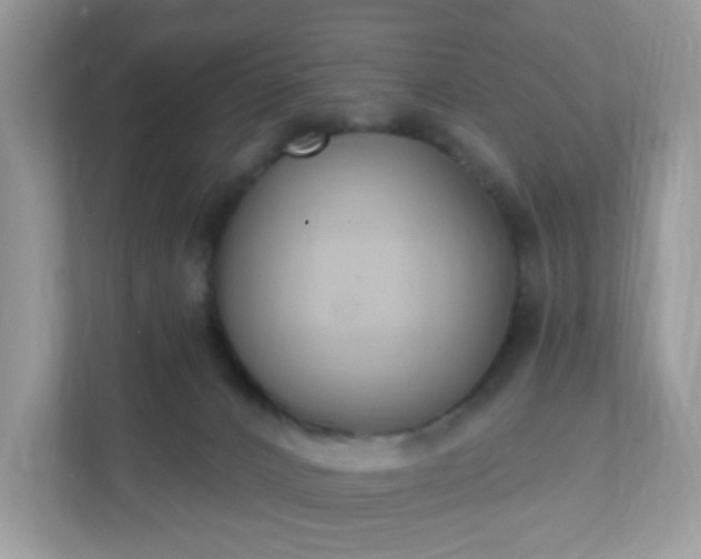 X0000111890032200907301206