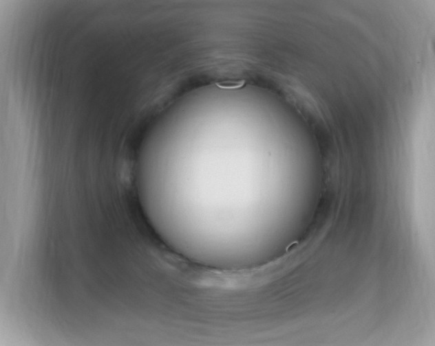 X0000111890033200907301206