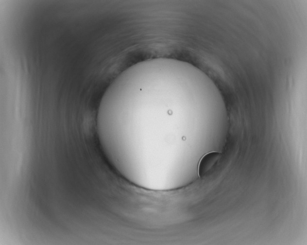 X0000111890034200907301206