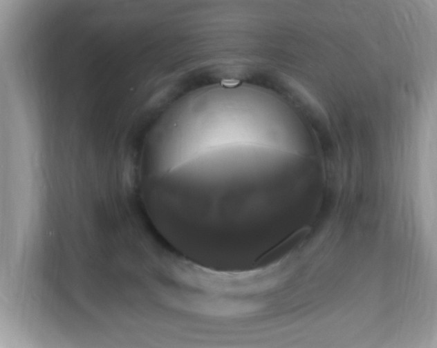 X0000111890035200907301206