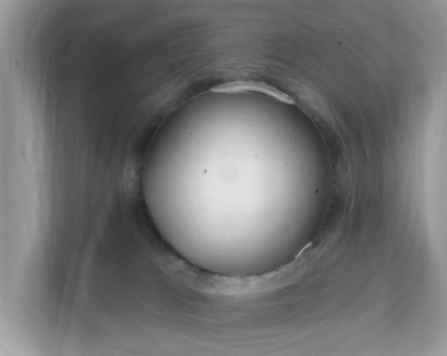 X0000111890037200907301206