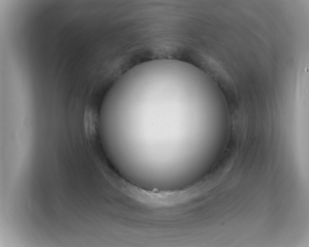 X0000111890038200907301206