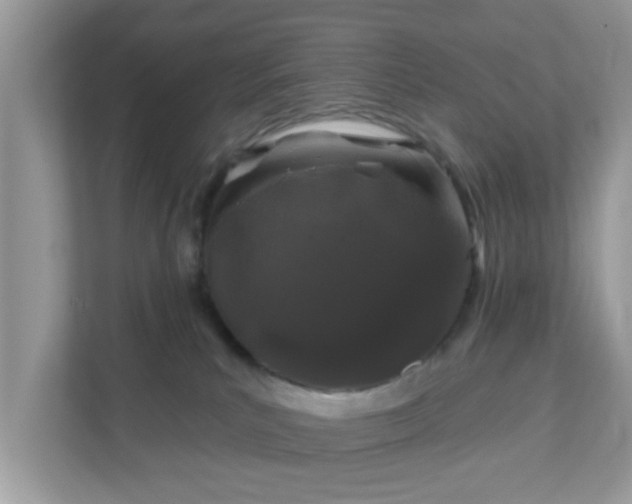 X0000111890039200907301206