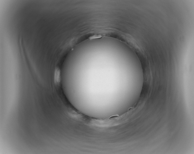 X0000111890041200907301206