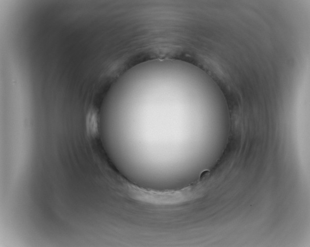 X0000111890042200907301206