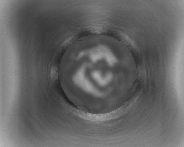 X0000111890043200907301206