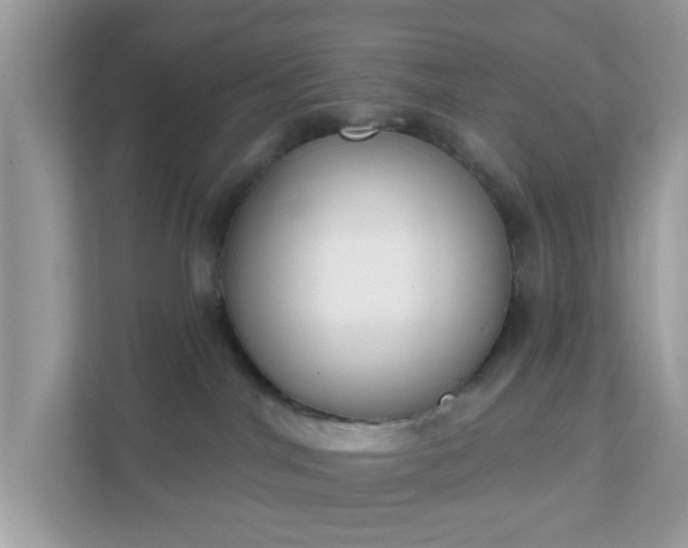 X0000111890044200907301206