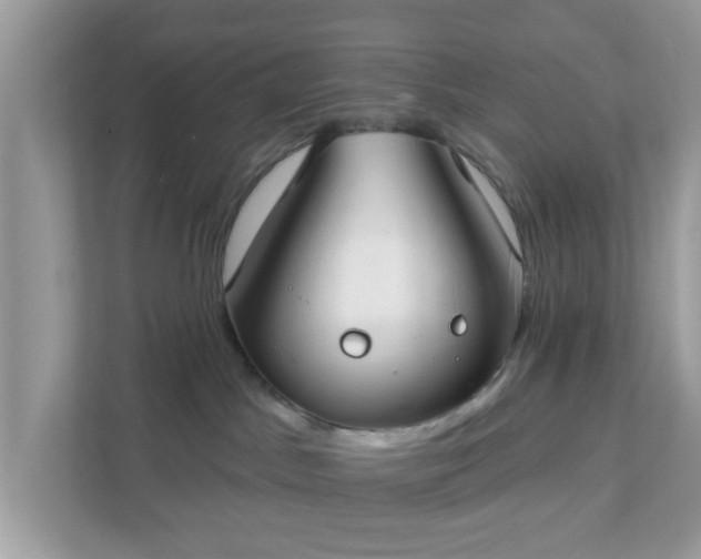 X0000111890045200907301206