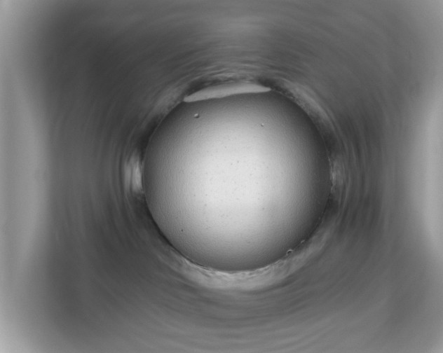 X0000111890046200907301206